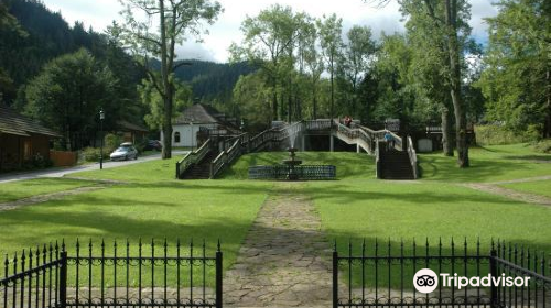 Zamoyski Family Park/Park Zamoyskich