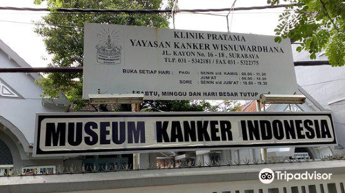 Indonesian Cancer Museum