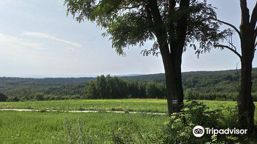 Pogorze Przemyskie Landscape Park