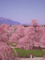 鈴鹿の森庭園