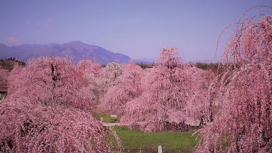 鈴鹿之森庭園