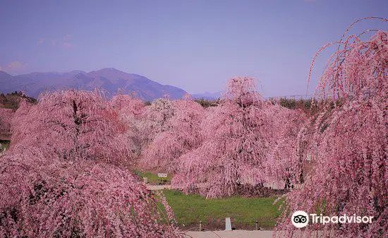 鈴鹿之森庭園