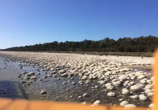 Hotels in Lake Clifton
