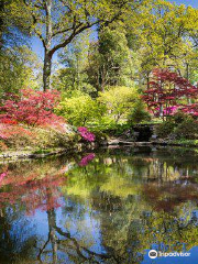 Jardin d'Exbury