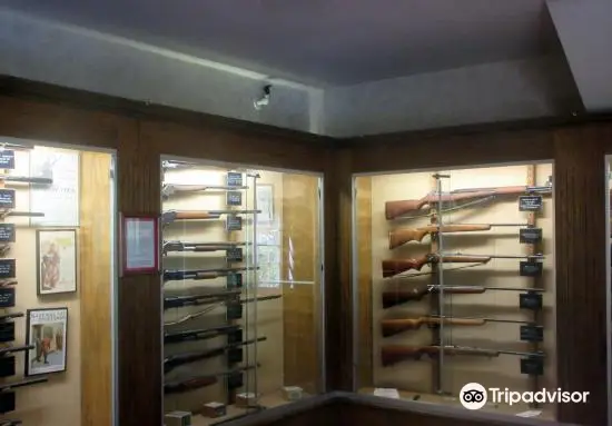 American Firearms Museum