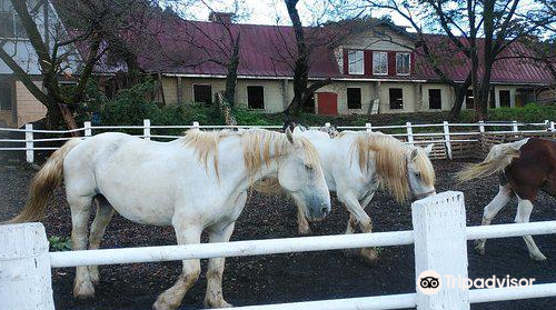 Hattori Dairy Farm