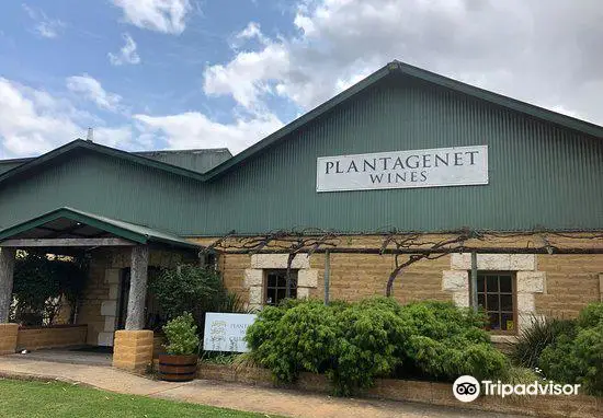 Plantagenet Wines