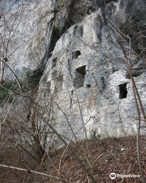 Ruine Hohlenburg Wichenstein