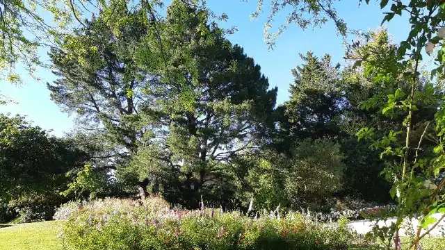 Parc Floral de la Beaujoire