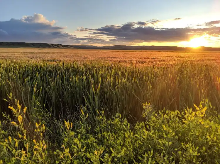 겜 카운티 호텔