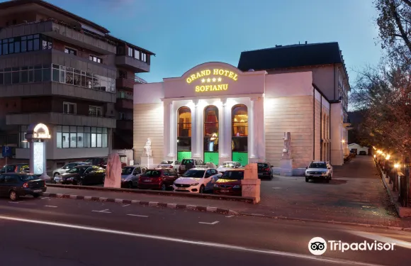 索菲亞努大酒店