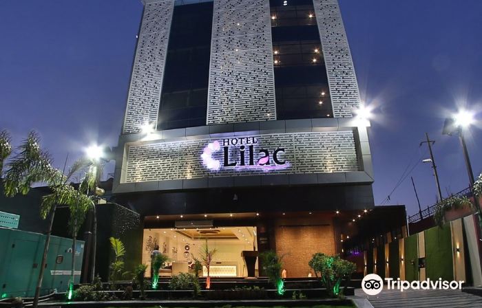 Hotel Lilac