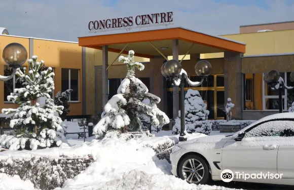 布拉格託普酒店