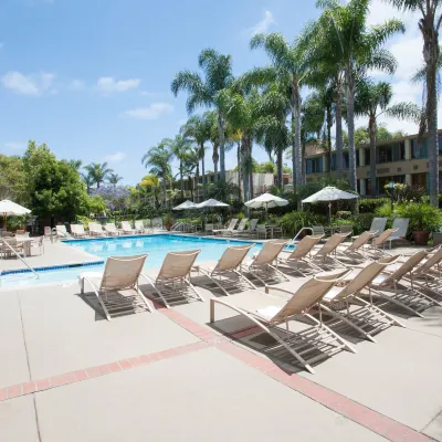 Sheraton La Jolla Hotels near Black's Beach