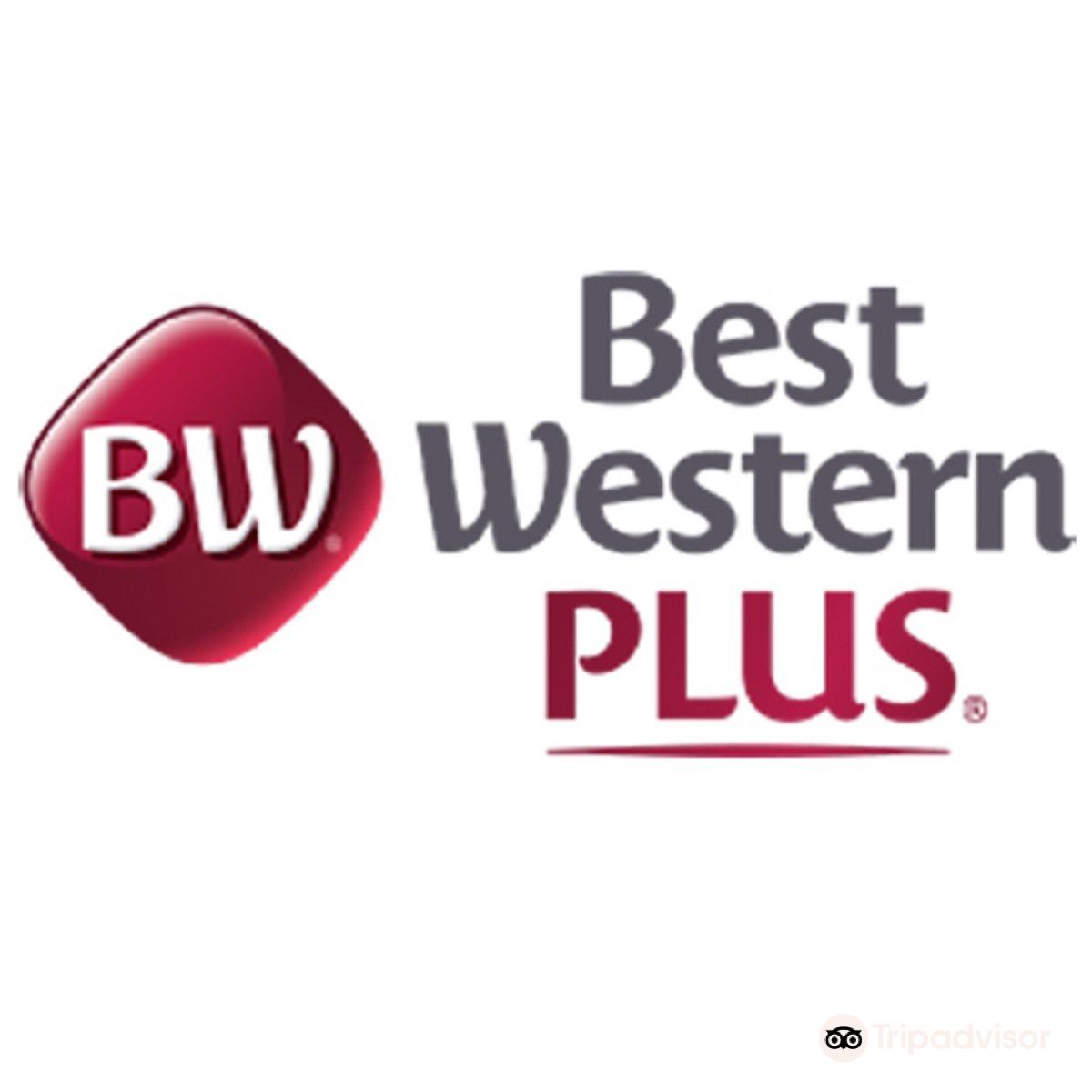 Best Western Plus Steeplegate Inn