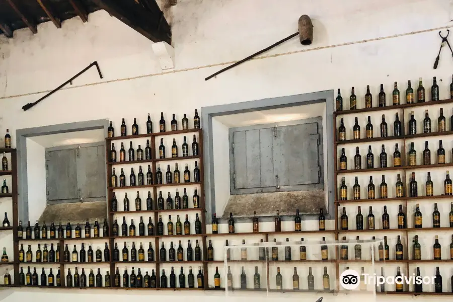Museu Do Vinho De Alcobaca