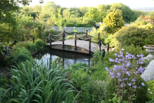 The Secret Sanctuary