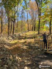 Clove Lakes Park