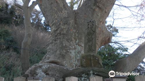 Rokudai Gozen's Tomb