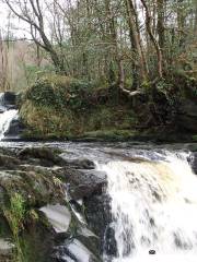 Slieve Bloom Mountains