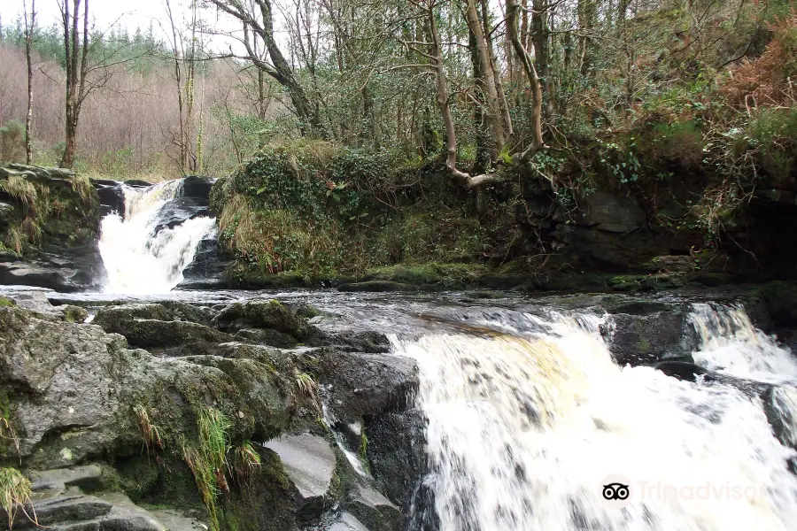 Slieve Bloom Mountains