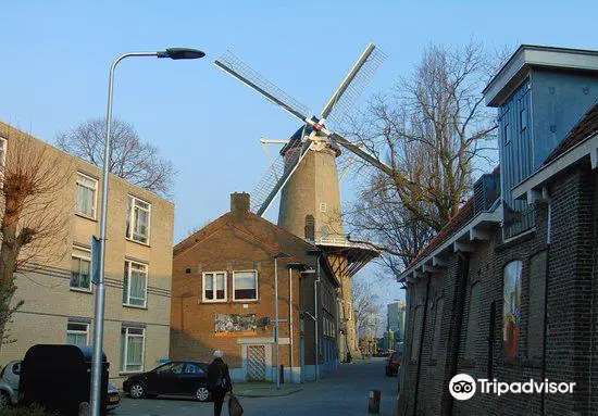 Red Lion Windmill (Molen De Roode Leeuw)