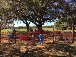 Kirby Family Farm