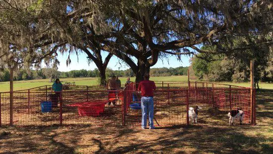 Kirby Family Farm