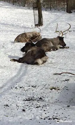 High Park Zoo