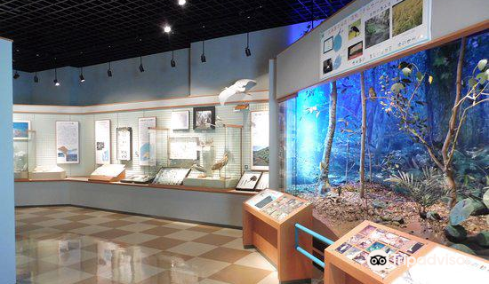 Kumejima Cultural Center and Museum