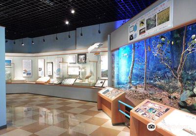 Kume Island Museum
