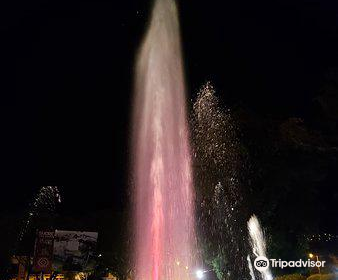 Fuente del Bicentenario