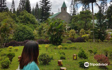 Pink Sisters' Convent and Chapel