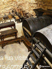 La Cantina Frrud - Museo del Vino
