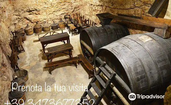La Cantina Frrud - Museo del Vino