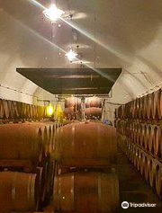 Recas Wine Cellar