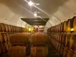 Recas Wine Cellar