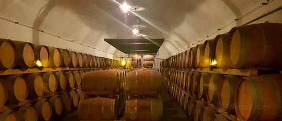 Recas Wine Cellar