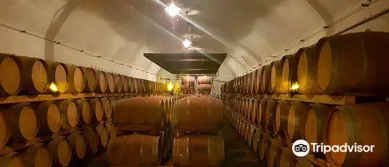 Recas Wine Cellar