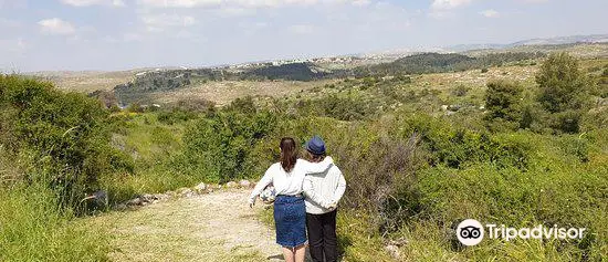 Neot Kedumim Biblical Landscape Reserve