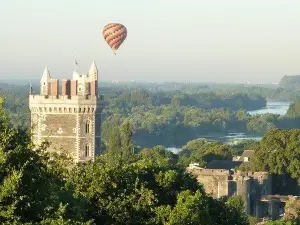 Castle of Oudon - Loire Scene