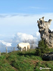 Natur'Zoo De Mervent