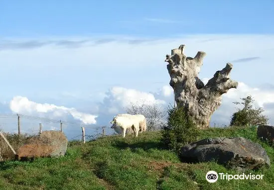 Natur'Zoo Mervent