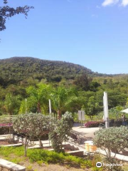 Coamo Thermal Hot Springs