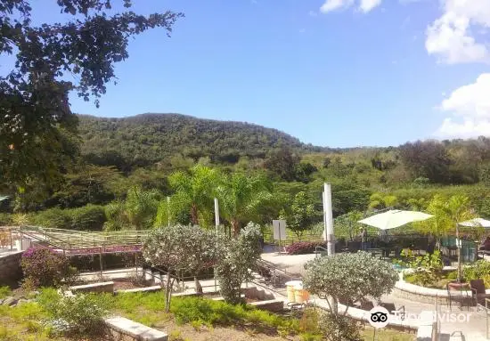 Coamo Thermal Hot Springs