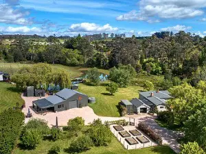 Meander Valley Vineyard
