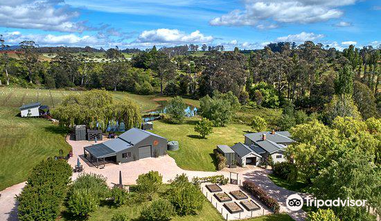 Meander Valley Vineyard