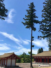 磐梯山慧日寺資料館