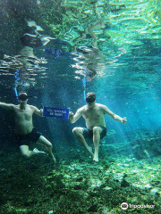 Hidden Treasures Cenotes Park