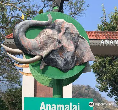 Anamalai Tiger Reserve Office